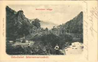 1905 Barnabás, Berlebás, Kosztilivka, Kostilivka (Máramaros); Berlebási-völgy, fatelep. Berger Miksa kiadása / valley, lumber yard (EK)