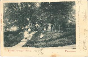 1904 Szántó, Santovka; Park részlet. Divald Károly kiadása / park (fa)