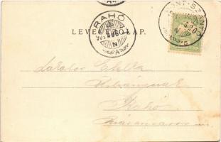 1904 Szántó, Santovka; Park részlet. Divald Károly kiadása / park (fa)