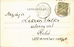 1903 Mezőtúr, M. kir. felsőbb leányiskola. Art Nouveau (EK)