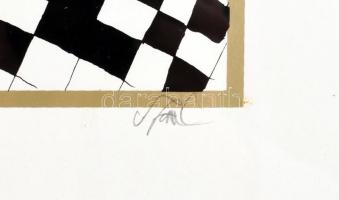 Szász Endre (1926-2003): Női portré. Szitanyomat, papír, jelzett. Üvegezett fa keretben, 32×45 cm