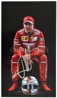 Sebastian Vettel Forma 1 pilóta saját kézzel aláírt autogram kártya 12x22 cm
