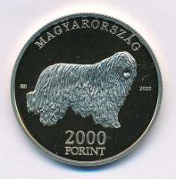 2020. 2000Ft Cu-Ni-Zn "Komondor" T:P
Adamo EM411