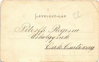 1901 Nagyszeben, Hermannstadt, Sibiu; A Szent Ferenc-rendi nővérek tan- és nevelőintézete / Francisc...