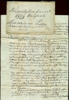 1848 Csiky Magdolna (Csiky Sándor politikus neje) levele fogadott fiának Ury József ügyvédnek (a Károlyiak kizárólagos jogásza) benne említéssel a szabadságharcról