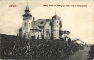 1912 Gátalja, Gáttája, Gataia; Gubányi Antal-féle sümeghegyi szőlőtelep és borgazdaság / vineyards and winery (EK)