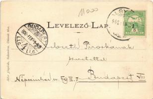 1908 Algyógy, Geoagiu; Gazdasági négyesfogat. Adler fényirda / horse-drawn carriage (EK)