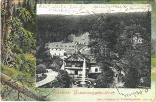 1906 Feketehegyfürdő, Feketehegy, Cernohorské kúpele (Merény, Vondrisel, Nálepkovo); nyaralók. Lomniczy V. 8904. Szecessziós erdős keret / villas. Art Nouveau, forest  (EK)