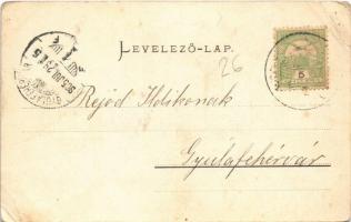 1905 Vízakna, Salzburg, Ocna Sibiului; Schuller-Garten / Schuller kert vendéglő, étterem, belső pinc...