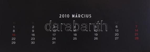 2010 Bódi Sylvi 2010-es naptára, 45x24,5 cm