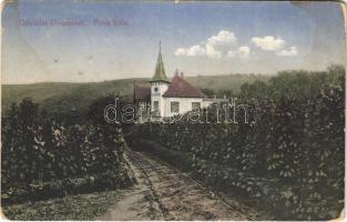 1917 Gyorok, Ghioroc; Frick villa. Butar kiadása / villa (fl)
