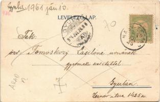 1904 Nagyzerind, Nagyzerénd, Zerind; Weisz Herman fia üzlete, Weisz Manó kiadása / shop of Weisz (EB...