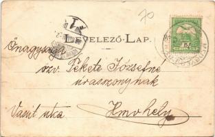 1908 Medgyesbodzás, Állami iskola. Kóhn Farkas kiadása (EK)