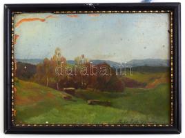 Zórád Géza (1896-1959): 2 db festmény.  Olaj, karton, jelzett, egyiken sérülésekkel. Keretben 17x23 ...