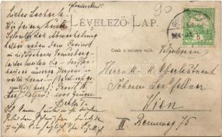 1908 Gyulafehérvár, Karlsburg, Alba Iulia; Prosit Neujahr! / Hunyadi tér, Hungária szálloda, piaci á...