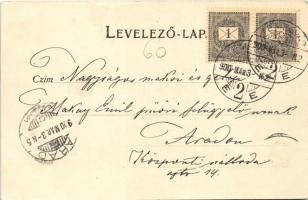 1900 Temesvár, Timisoara; Gyárváros, Béga-balsor. Králicsek Béla kiadása / Fabric, Bega riverside, s...