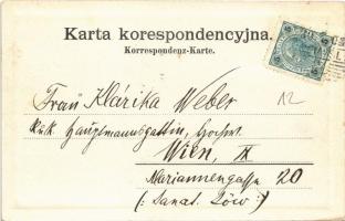 Przemysl, Ul. Mickiewicza 2 / Mickiewiczgasse 2. / street view. M.G. Rosenfeld (EK)