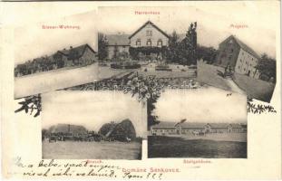 1907 Senkovec, Domäne Senkovce; Diener-Wohnung, Herrenhaus, Magazin, Drusch, Stallgebäude / manor house, servants houses, treshing, barn, stable. Floral (r)