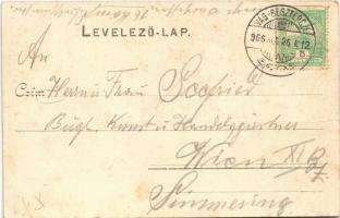 1906 Vágbeszterce, Povazská Bystrica; látkép a zsinagógával. Excelsior műintézet kiadása / general v...