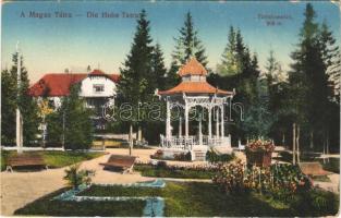 1917 Tátralomnic, Tatranská Lomnica (Tátra, Magas-Tátra, Vysoké Tatry); bazár, park / shop, park (EK)