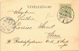 1900 Komárom, Komárno; Vashíd. Czike Dénes kiadása / Donaubrücke / Danube bridge (fl)