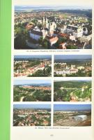 Bőszéné Szatmári-Nagy Anikó: "A tudományosság és kultúra bölcsője." Veszprém város történe...