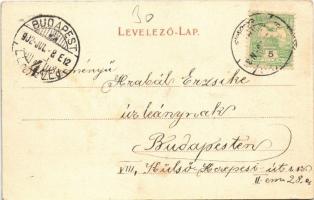 1902 Zólyom, Zvolen; Római katolikus templom. Özv. Löwy Samuné kiadása / Catholic church (fa)