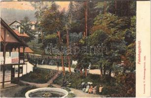 1907 Feketehegyfürdő, Feketehegy, Cernohorské kúpele (Merény, Vondrisel, Nálepkovo); szálloda, nyaraló. Lomniczy V. kiadása / hotel, villa (EK)