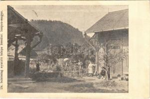 1907 Svedlér, Svedlár; Dr. Schöntag nyaralótelepe / villa (vágott / cut)