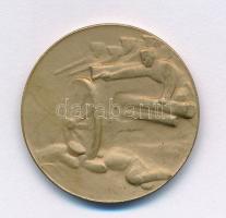 Osztrák-Magyar Monarchia 1915. "A Krasniki diadalmas csatában az oroszoktól elvett ágyúból vere...