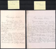 1916 dr. Zsakó István (1882-1966) erdélyi magyar ideggyógyász, később a Bp. Angyalföldi Elme- és Ide...