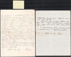 1916 dr. Zsakó István (1882-1966) erdélyi magyar ideggyógyász, később a Bp. Angyalföldi Elme- és Ide...