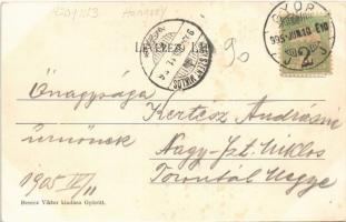 1905 Győr, Erzsébet térről feljáró a püspökvárba, üzlet. Berecz Viktor kiadása (EK)