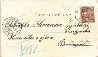 1900 Ercsi, látkép, "Orient" gőzhajó. Art Nouveau, floral, litho (kis szakadások / small t...