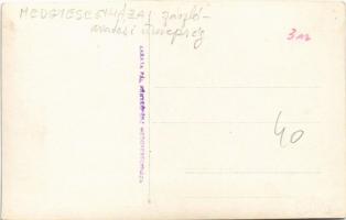 Medgyesegyháza, Országzászló avatási ünnepség. Lakata Pál photo