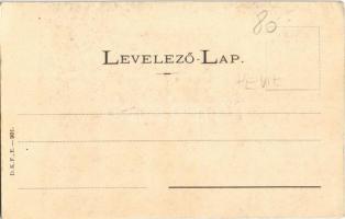 Hévíz, birkaúsztatás Hévízen. Balaton vidéke. D.K.F.E. 901. (EK)