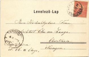 1903 Hévíz, lótuszvirág. Marton Móricz kiadása