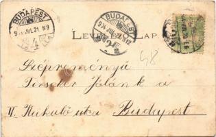 1904 Balatonberény, "Iza" Schönnauer vitorlás csónakjai a Balatonon. Neumark Adolf kiadása...