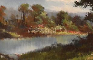 Jelzés nélkül: Vízparti táj. Olaj, vászon, fa keretben. 35x75 cm
