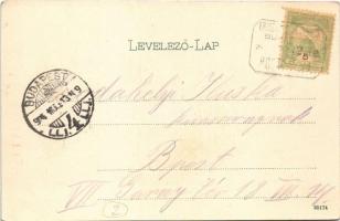 1904 Budakeszi, Erzsébet királyné szanatórium, emeleti fekvő folyosó a főépületben, fekvő kúra a sza...