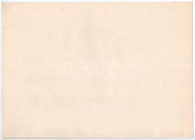 Budapest 1927. "Hazai Általános Biztosító Részvénytársaság" részvénye 20P-ről, szárazpecsé...