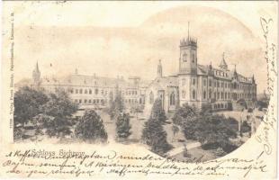 1901 Sychrov, Schloss Sichrow / castle. Verlag Franz Dlouhy (fl)