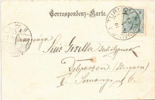 1901 Sychrov, Schloss Sichrow / castle. Verlag Franz Dlouhy (fl)