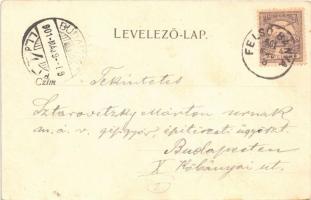 1901 A kor nagy színészei: Hegedűs, Gaál, Fenyvessi, Újházy, Goth, Horváth, Szirmai, Vízváry és Náda...