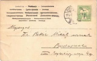 1904 Boldog Újévet! / New Year greeting art postcard, clown with pigs and clovers (EB)