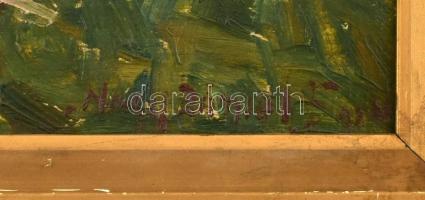 Nagy Dániel Ferenc (1888-1964): A régi lóversenytér a földtani múzeummal, 1924 (a későbbi Népstadion...