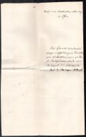 1858 Pest, Budára a helytartósághoz intézett dokumentum