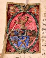 1886  II. Ferdinánd Szalay András részére szóló 1629-es adománylevelének hitelesített másolata a kir...