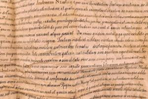 1886  II. Ferdinánd Szalay András részére szóló 1629-es adománylevelének hitelesített másolata a kir...