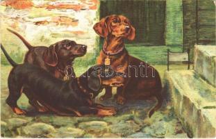 Unsere Dackel / Dachshund dogs art postcard. Wenau-Delila No. 1314D. s: A. Weczerzick (EK)